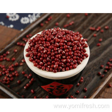 Healthiest Beans Legumes